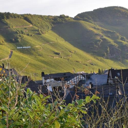 Weingut Erbes-Henn Hotel Ürzig Exterior foto